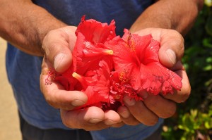 11753709_807860009330601_3498563519145997924_n