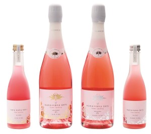 11917480_807859989330603_1108170319599071857_n